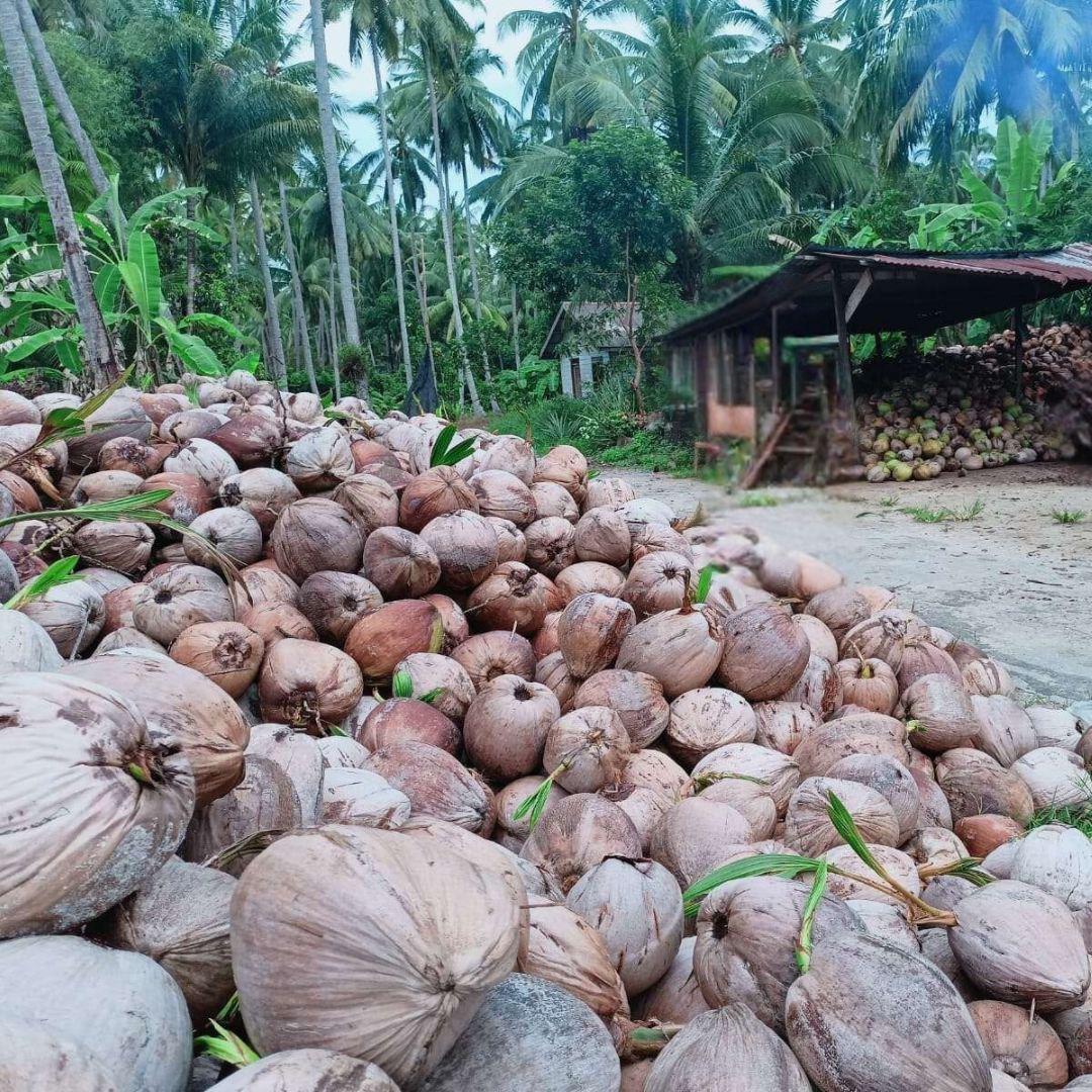 untitled design (22).jpg